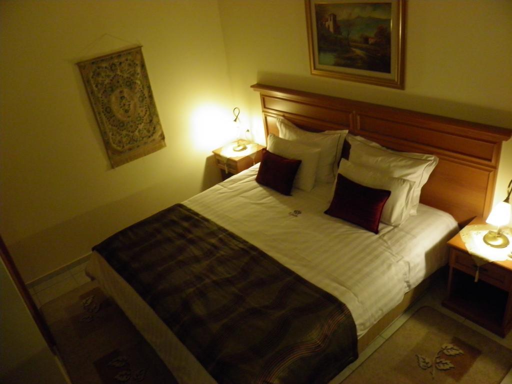 Egnatia Hotel Ioannina Bilik gambar